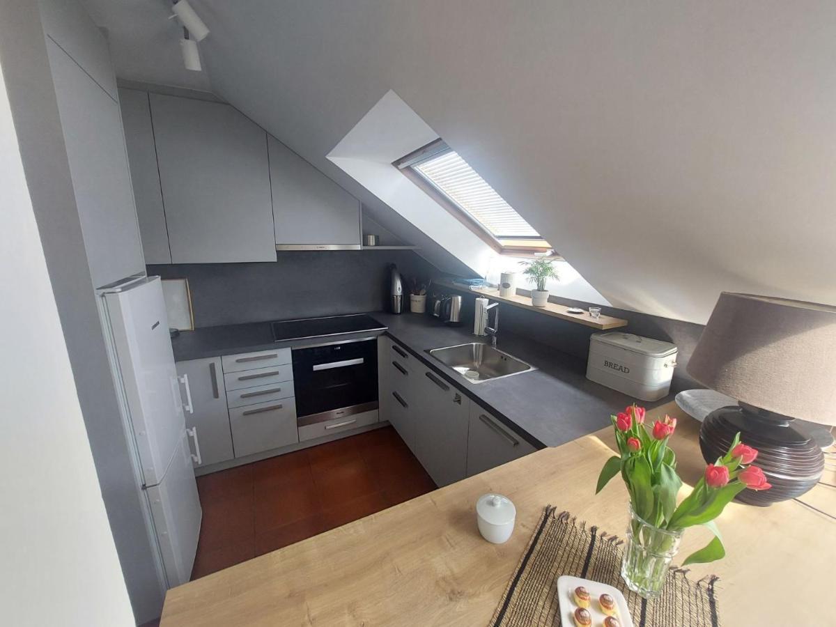 Loft Starhemberg